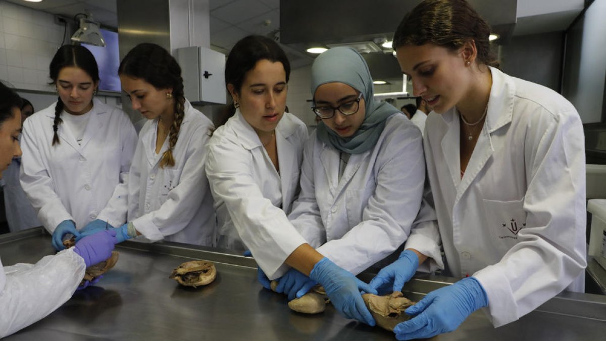 Alumnes de segon de Medicina fent pràctiques el mes de setembre passat.