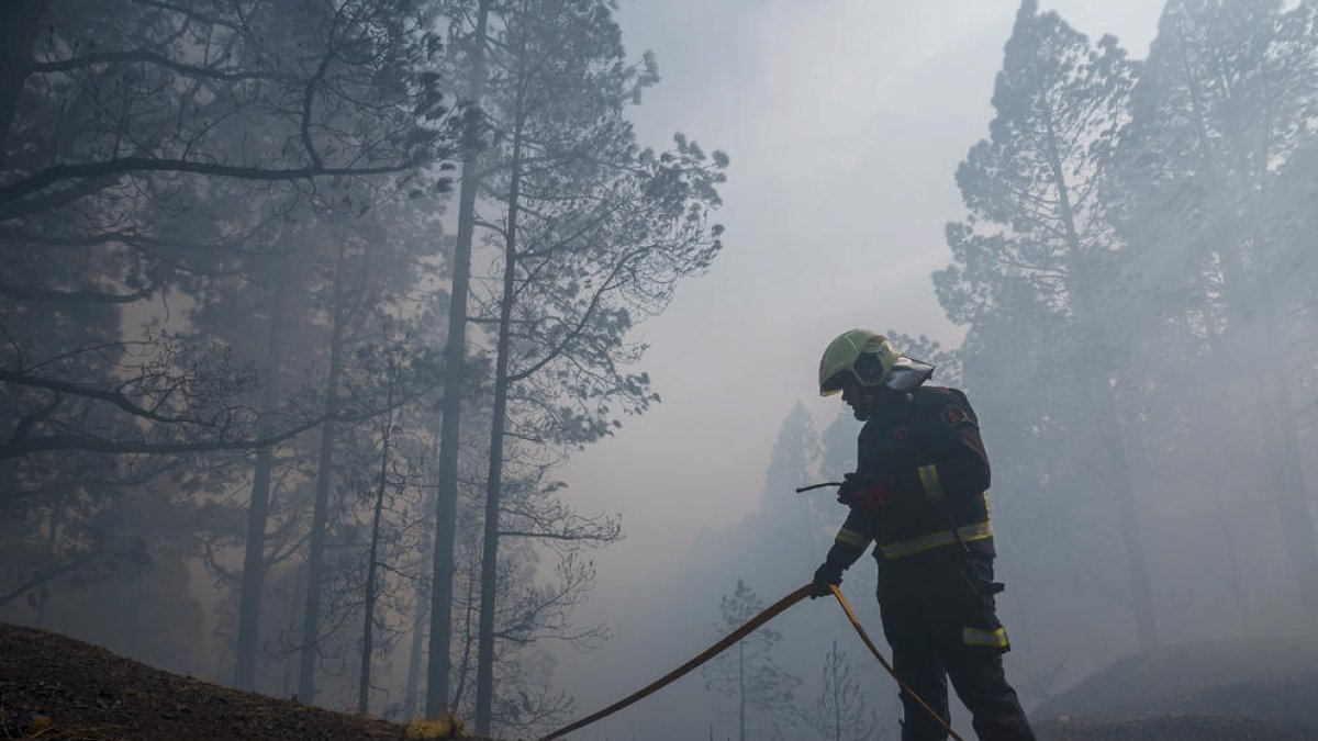 Un bombero en un bosque arrasado por las llamas.