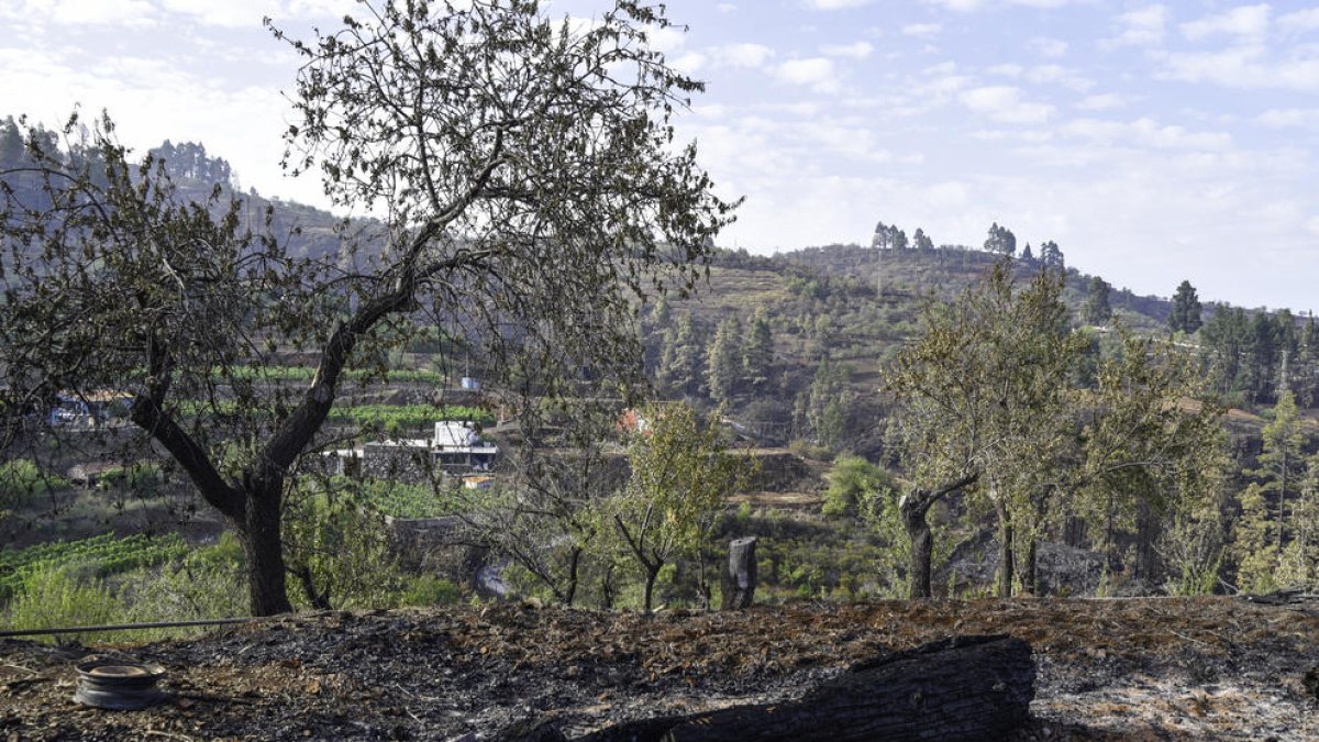 Los destrozos del fuego se pueden apreciar en La Palma, isla que ya padeció la erupción del volcán.