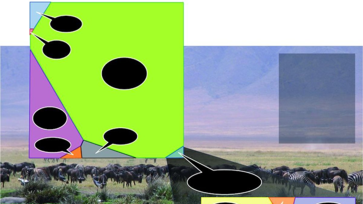 La vida va començar al mar però viu a terra.