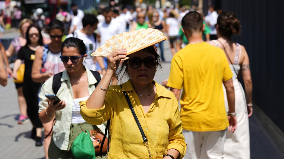 Las olas de calor irán a más: ¿Cómo lograr que no se traduzcan en más mortalidad?