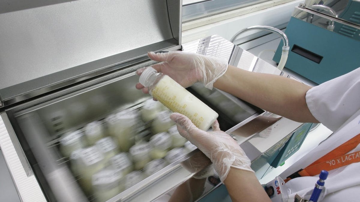 Imagen de archivo del proceso de pasteurización en un banco de leche materna.