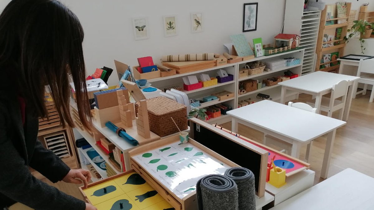 Material del centre Montessori per aprendre sobre botànica.