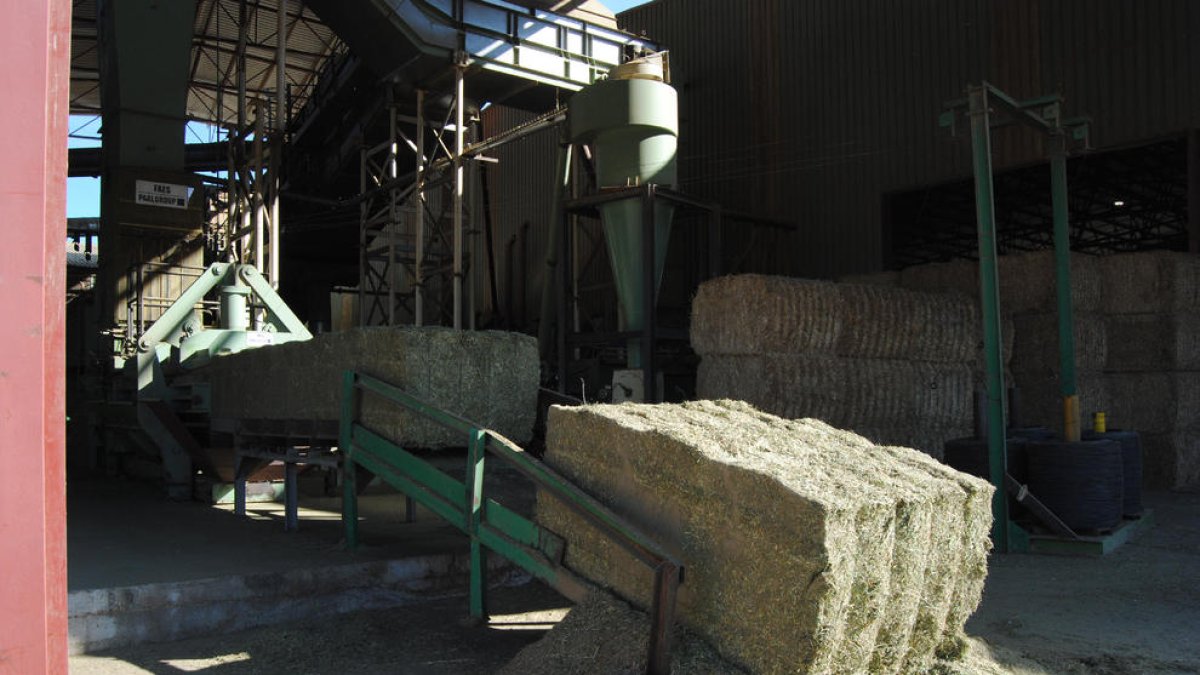 Imagen de archivo de una firma forrajera de las comarcas leridanas.