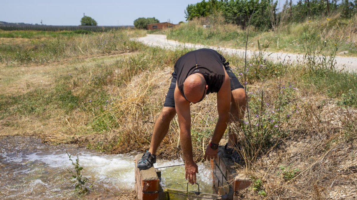 Agua del Segre para salvar la producción de fruta en el Canal d'Urgell