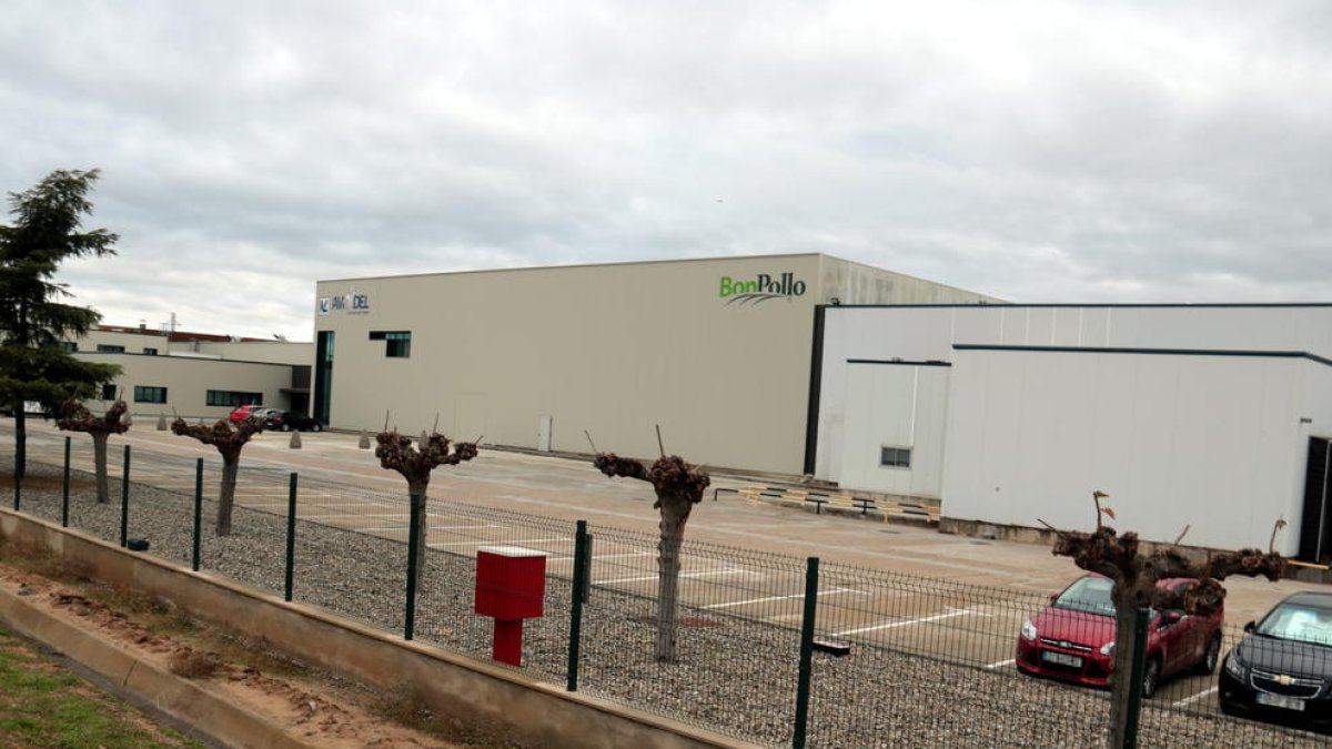 Las instalaciones del matadero Avidel de Lleida.