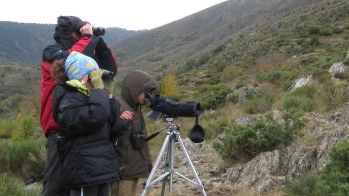 Turistes observant la brama del cérvol al Pallars Sobirà a mitjans de setembre.