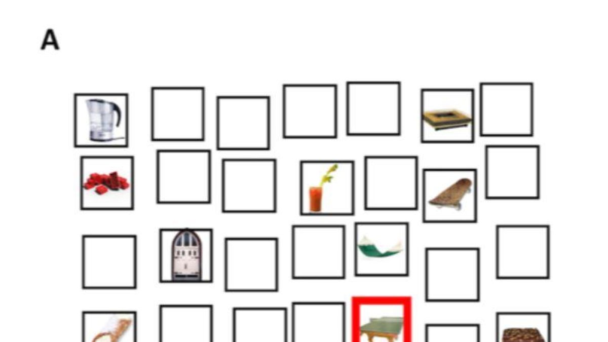 Experimentos sobre la memoria concluyen que las mayoría de personas son muy buenas para recordar dónde y cuando vieron un objeto por última vez