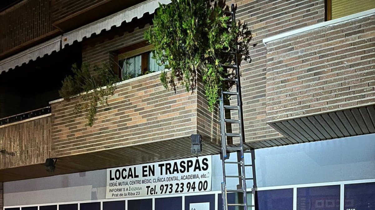 Lladres van utilitzar una escala per robar en un domicili.