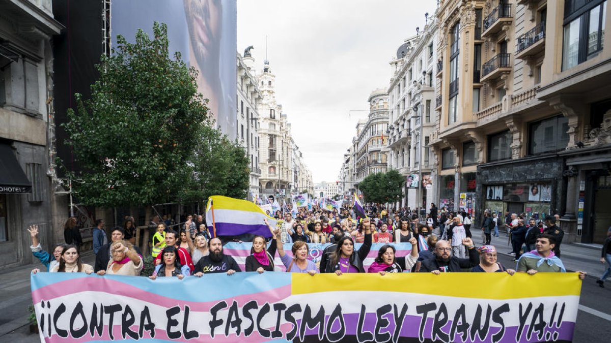 Una manifestació en contra de l'endarreriment del PSOE en la tramitació de la Llei Trans.