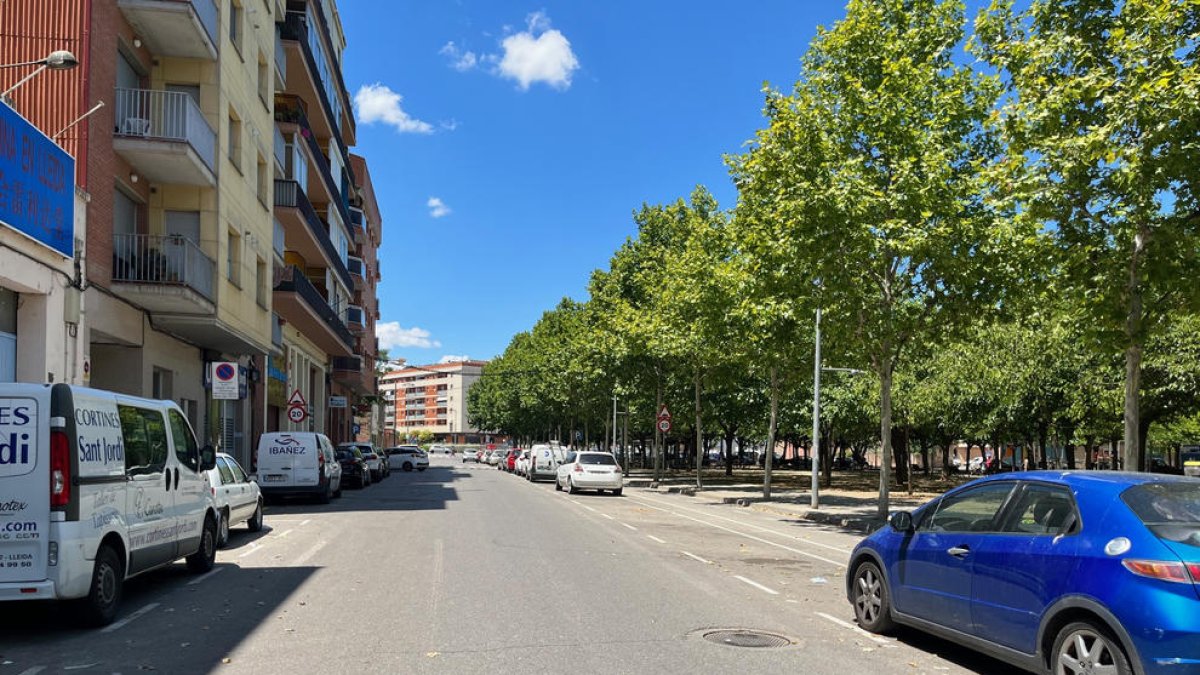La reforma afectará al tramo junto a la plaza de les Magnòlies.