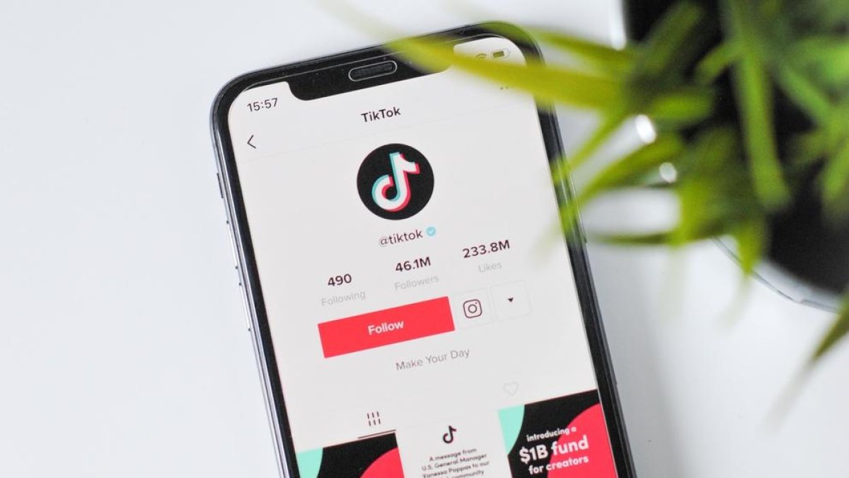 La interfaz de TikTok.