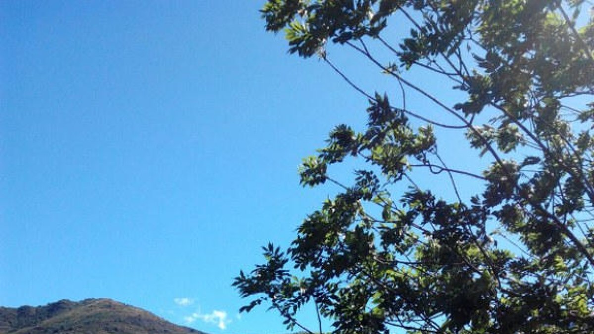 Vista de Arrós de Cardós.