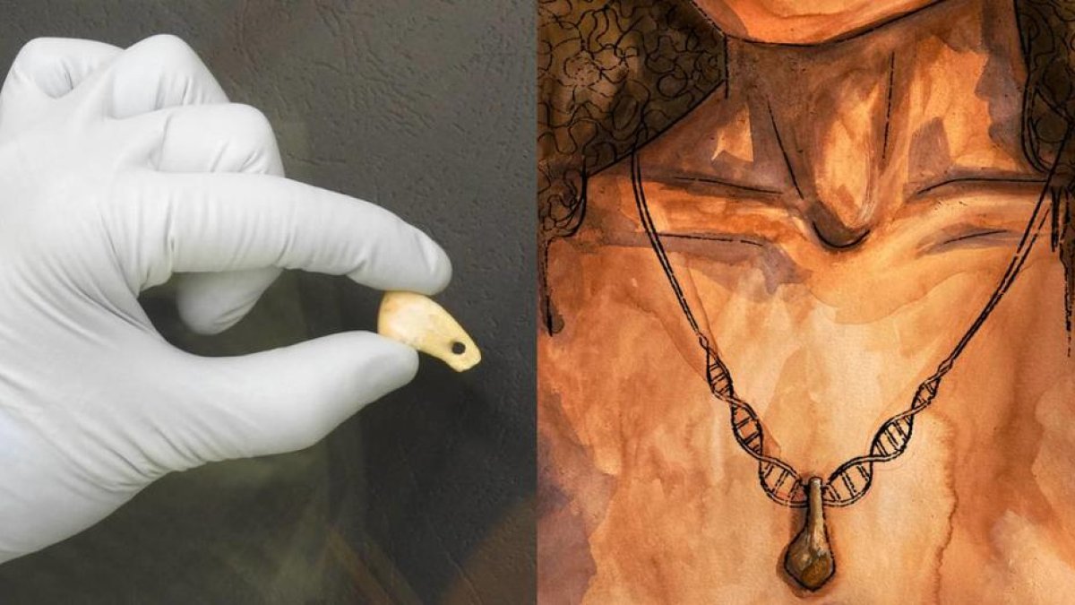 El futur Paleolític Park?