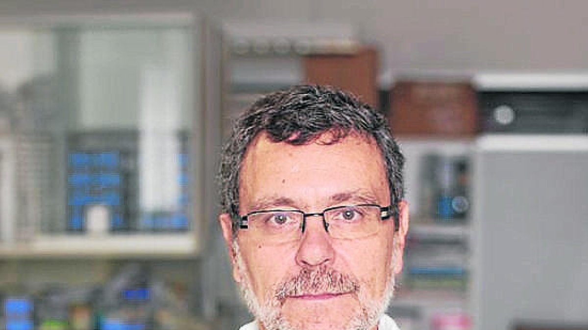 Avenços contra els tumors d'úter i la metàstasi