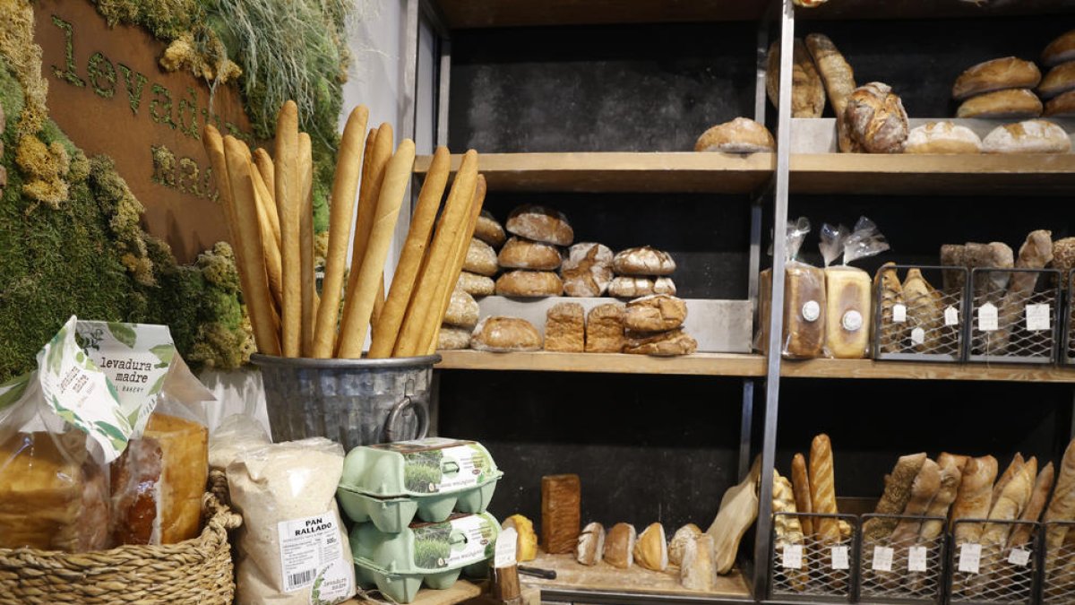 Pensions, sous, transport, IVA, energia... Què puja i què baixa el 2023