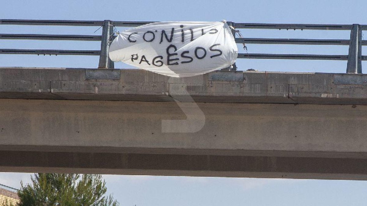 Pengen conills amb una pancarta a Verdú