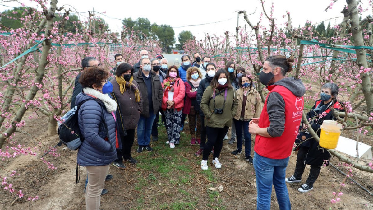 Imatge d'arxiu d'un grup de turistes visitant la floració dels arbres fruiters a Aitona.