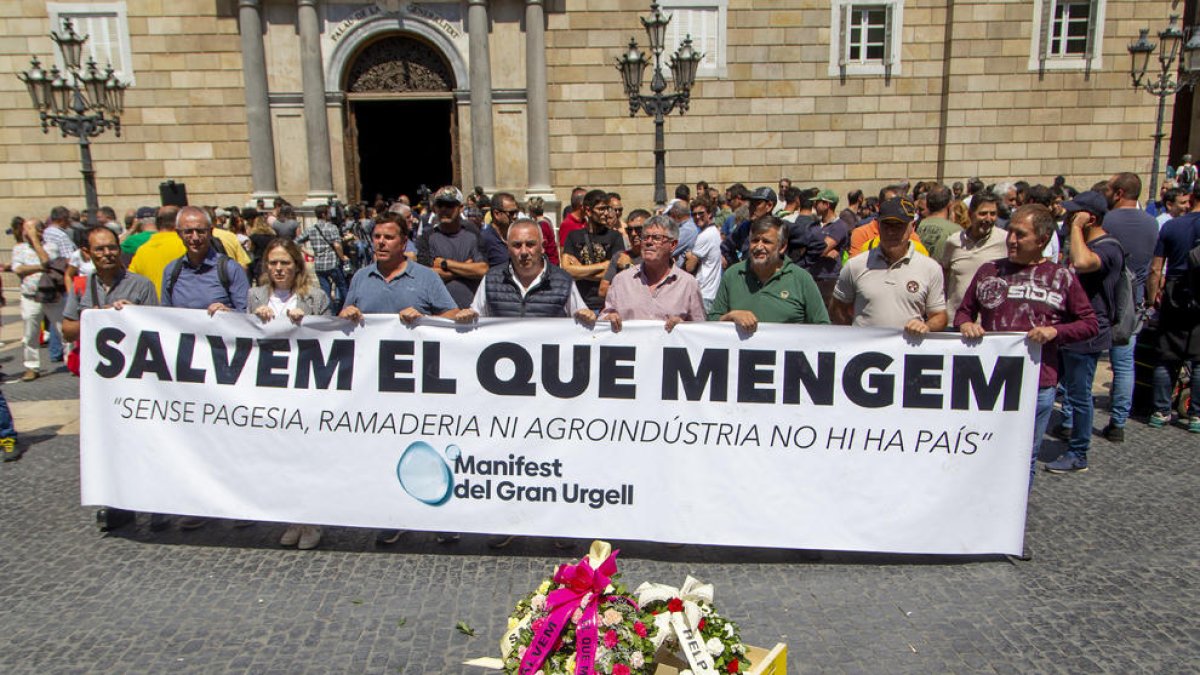 Algunos de los manifestantes en la plaza Sant Jaume con las cajas de manzanas y las coronas de flores.