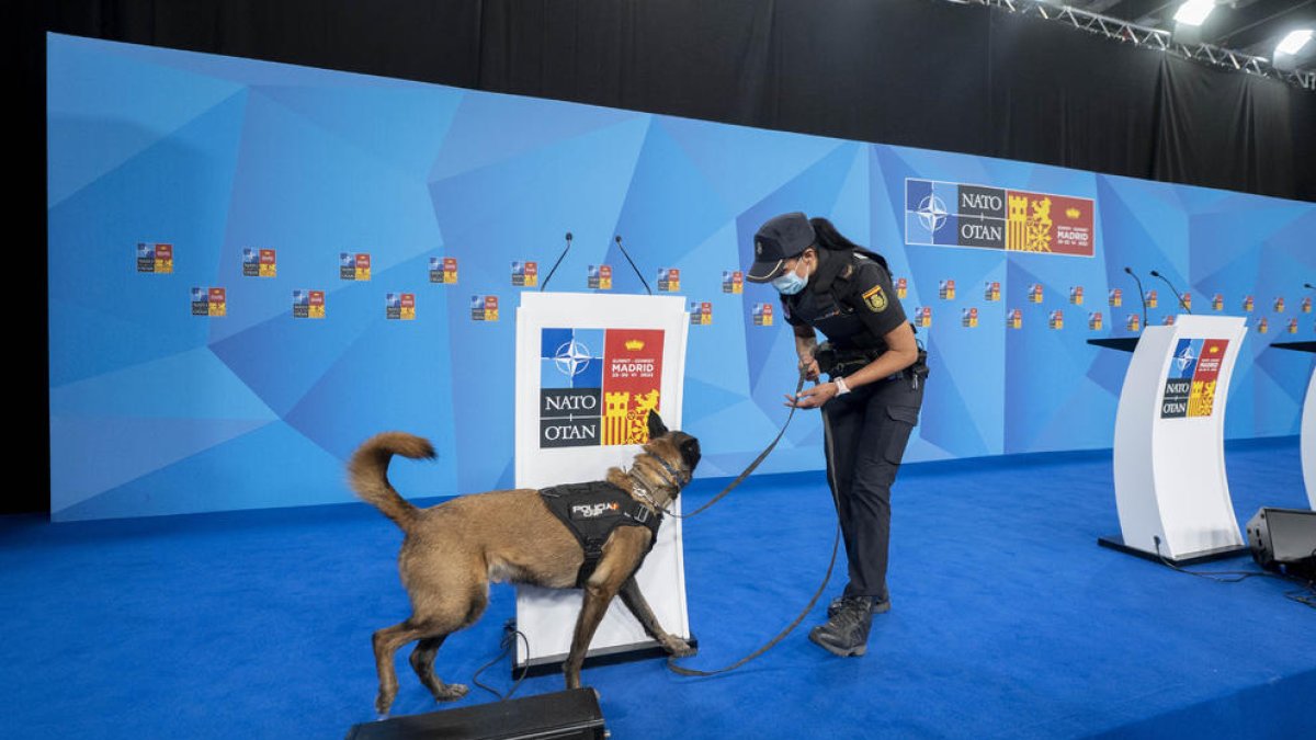 Una agent amb un gos ensinistrat busca explosius a IFEMA Madrid de cara a la cimera de l’OTAN.