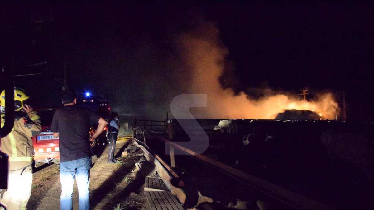 Un incendi crema un paller a la Seu d'Urgell