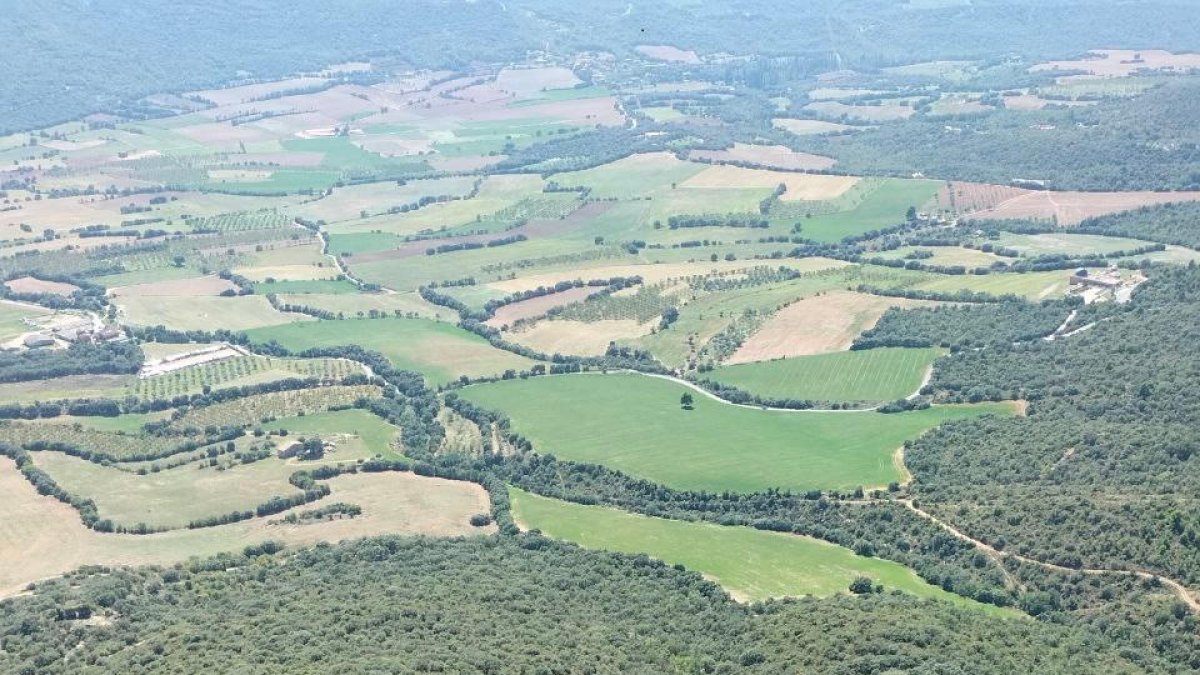 Imagen de archivo del accidente mortal de parapente que hubo el pasado septiembre en Àger.