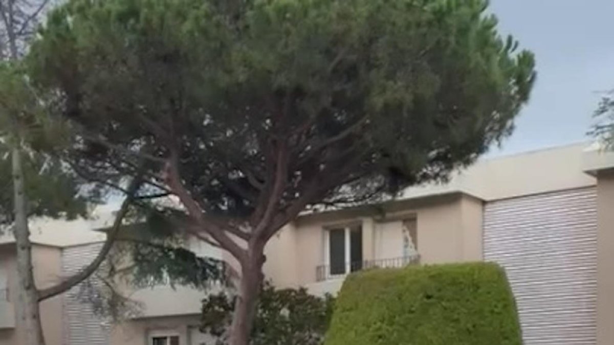 VÍDEO: Arranquen una senyal de trànsit i salten sobre diversos cotxes aparcats a Calella de Palafrugell