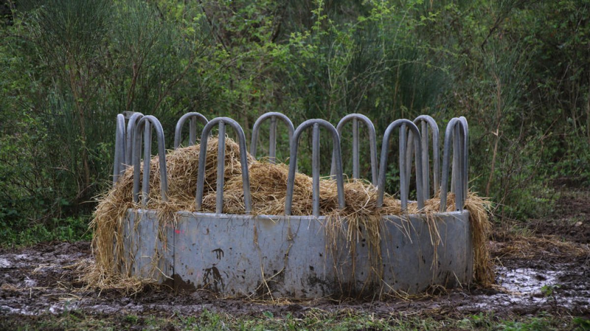 Unió de Pagesos hace un llamamiento a no empezar una 'guerra por el agua' entre diferentes territorios
