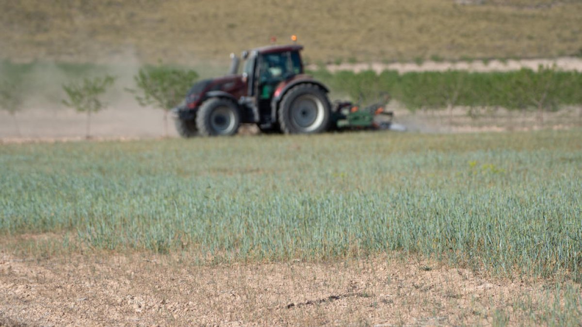 Un tractor haciendo labores en el campo en una fotografía de archivo.