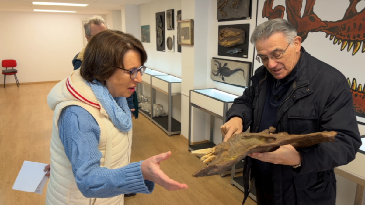 La Geosala de Lleida, al 'DiS'