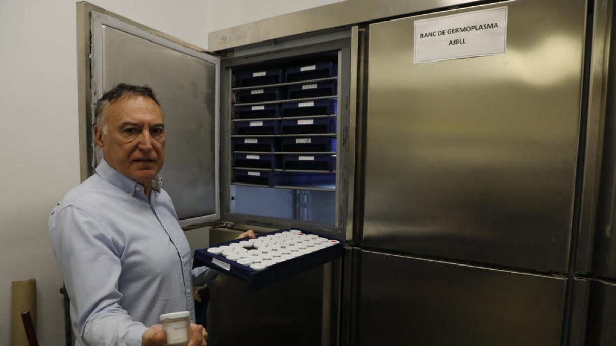 El director de l’Arborètum, Josep Antoni Conesa, mostra un recipient dels que contenen les llavors congelades.