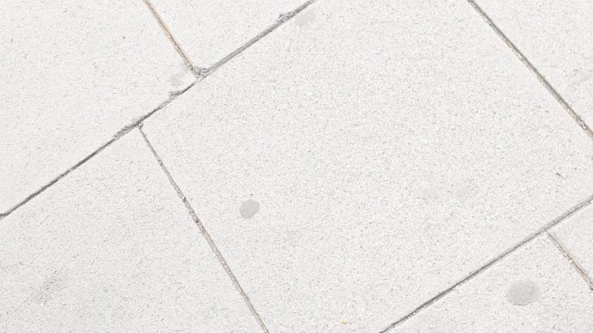 LA FOTO DEL LECTOR | Acabem de netejar i ja està bruta