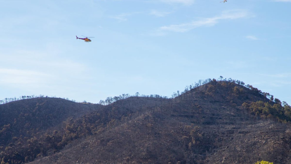 Un fuego calcinó en abril 400 hectáreas en la Franja i el Baix Segre.