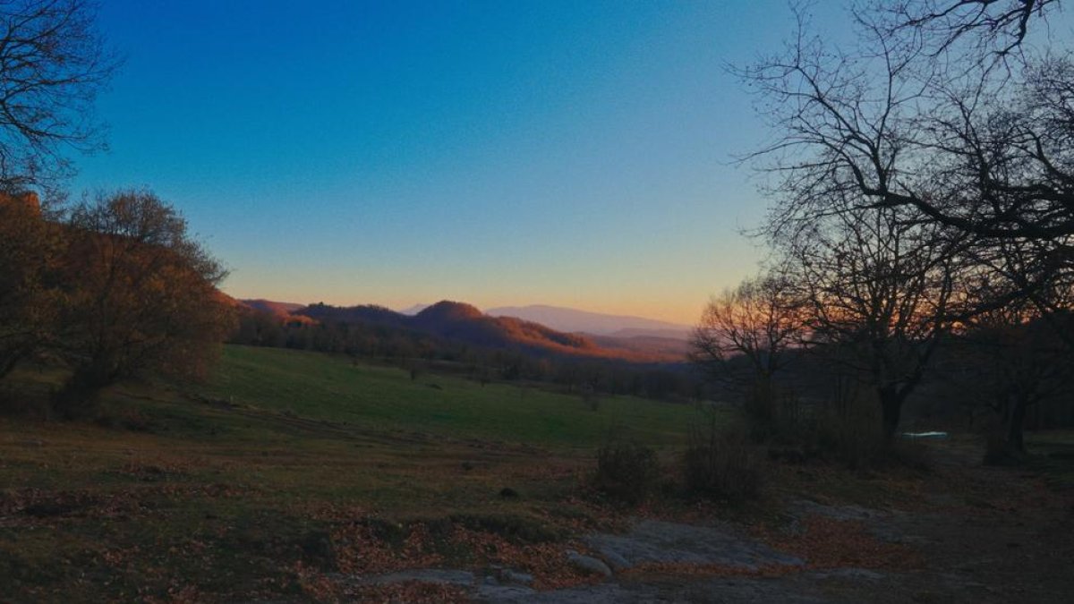 Postals de diferents llocs donen peu a recordar l’intel·lectual.