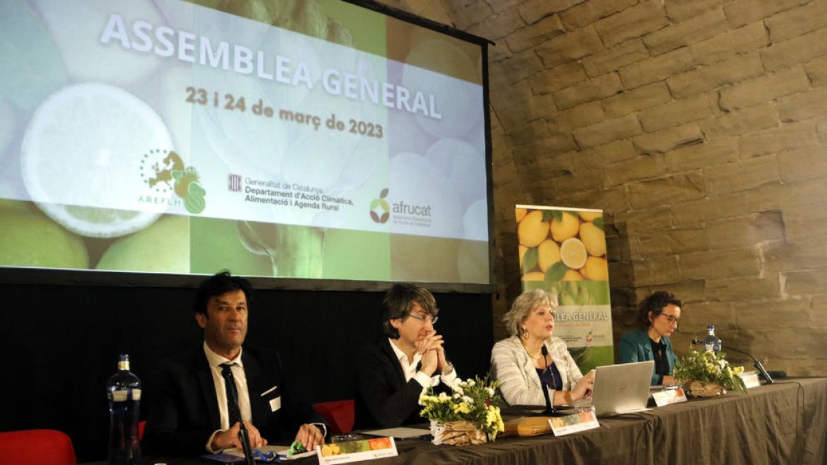 Un momento de la Asamblea General del AREFHEL.
