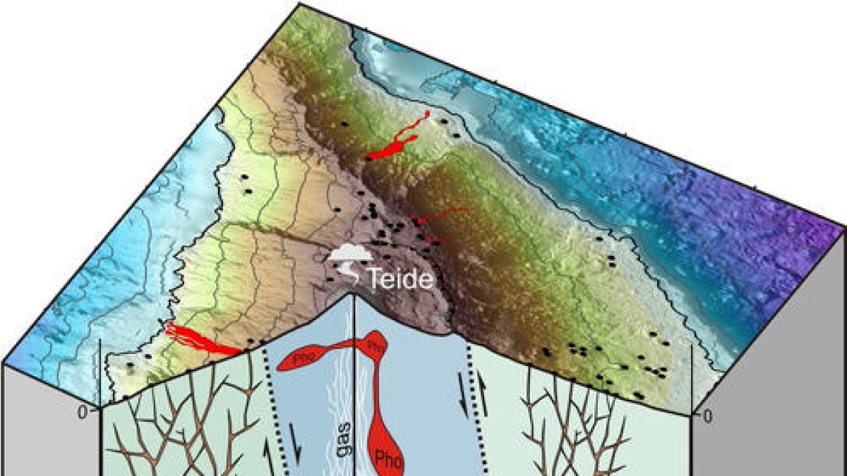 Advierten de la existencia de un 