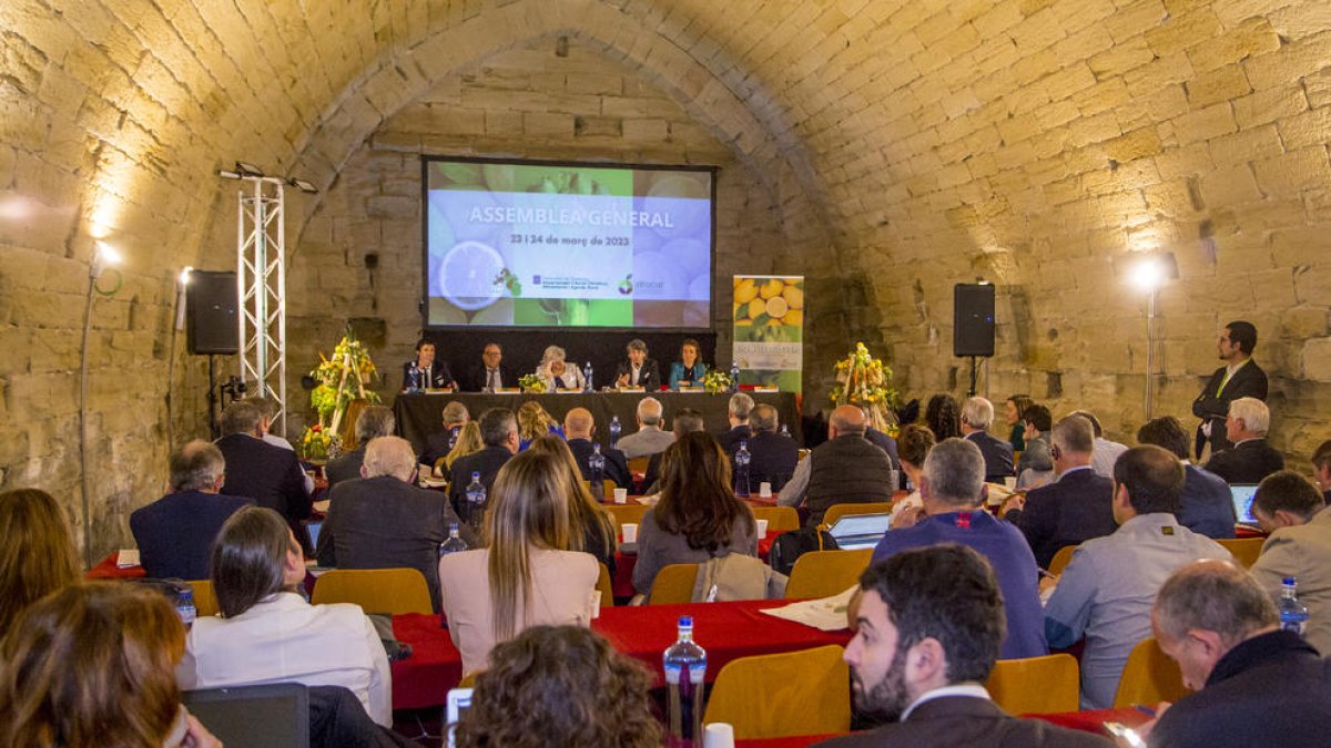 Vista general de l’Assemblea de Regions Europees Productores de Fruites i Hortalisses (Areflh) que se celebra a la Seu Vella de Lleida.