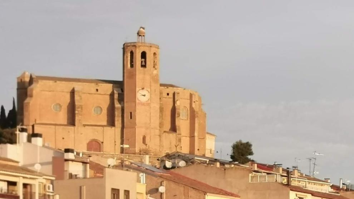 Palplantat a la riba