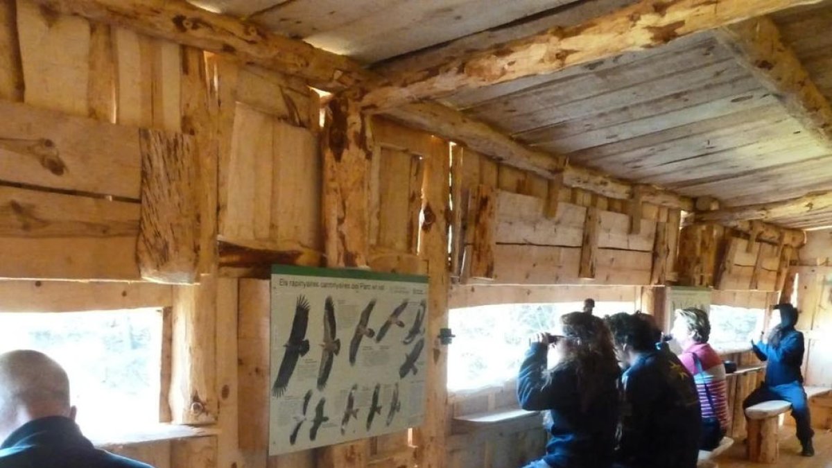 Imagen de archivo de una actividad de avistamiento de aves.