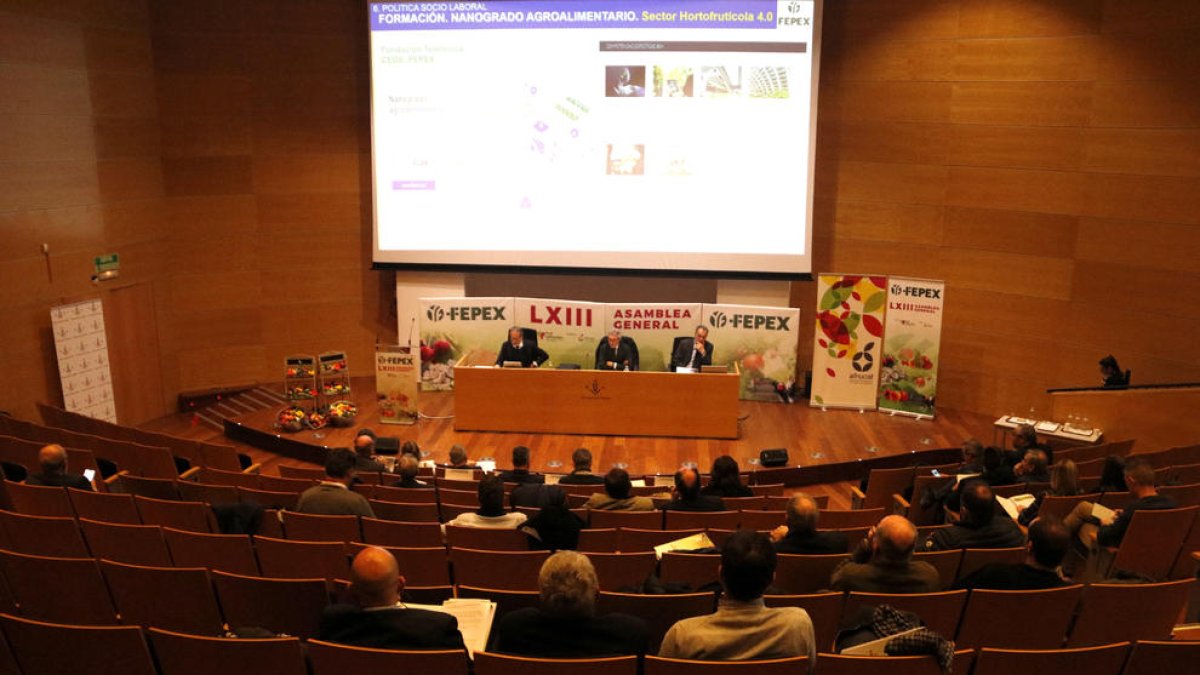 La exportación de frutas y verduras del Estado cayó un 10% en el 2022