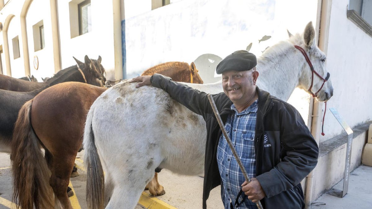 Josep Arrufat, de Rocafort de Vallbona, posa amb els seus cavalls ahir a Anglesola.