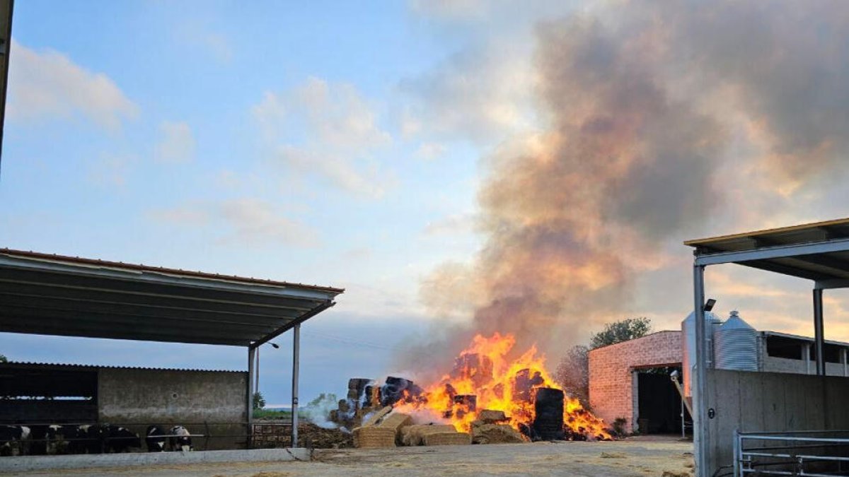 Imatge de les bales de palla cremant.