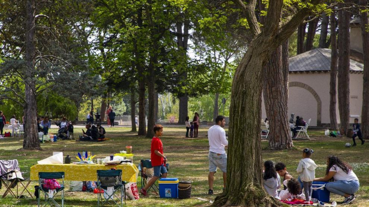 IMATGES | La Mona a les Basses d'Alpicat