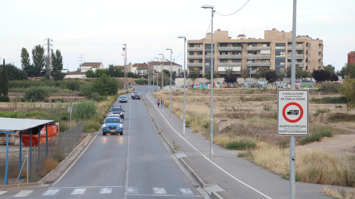 Vista del vial Víctor Torres, situado entre la carretera Ll-11 y la avenida de Palauet de La Bordeta.