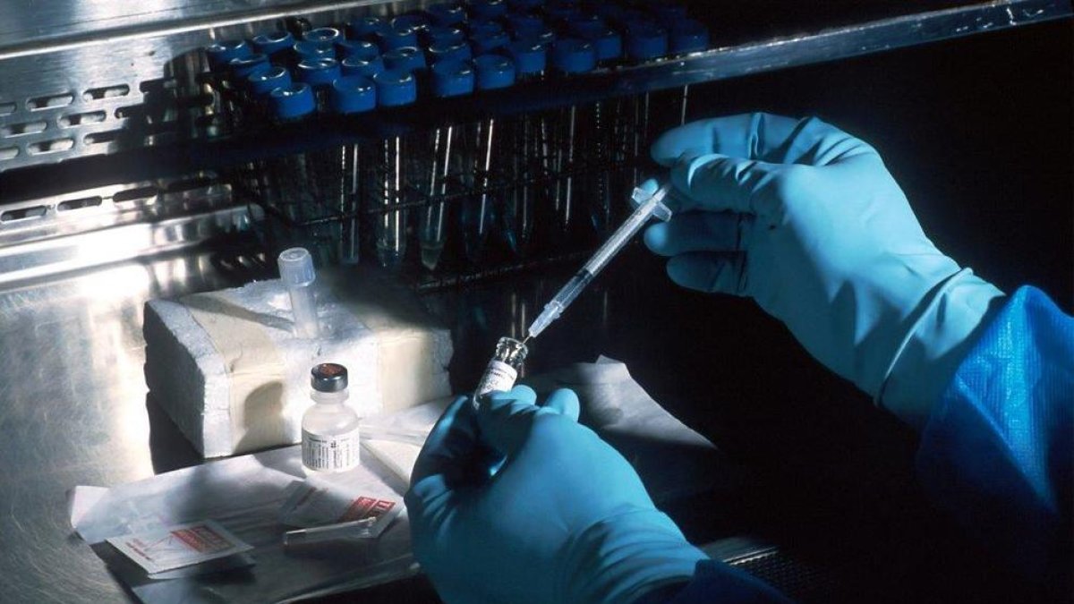 Una nueva inmunoterapia, esperanza para los pacientes con cáncer de la sangre