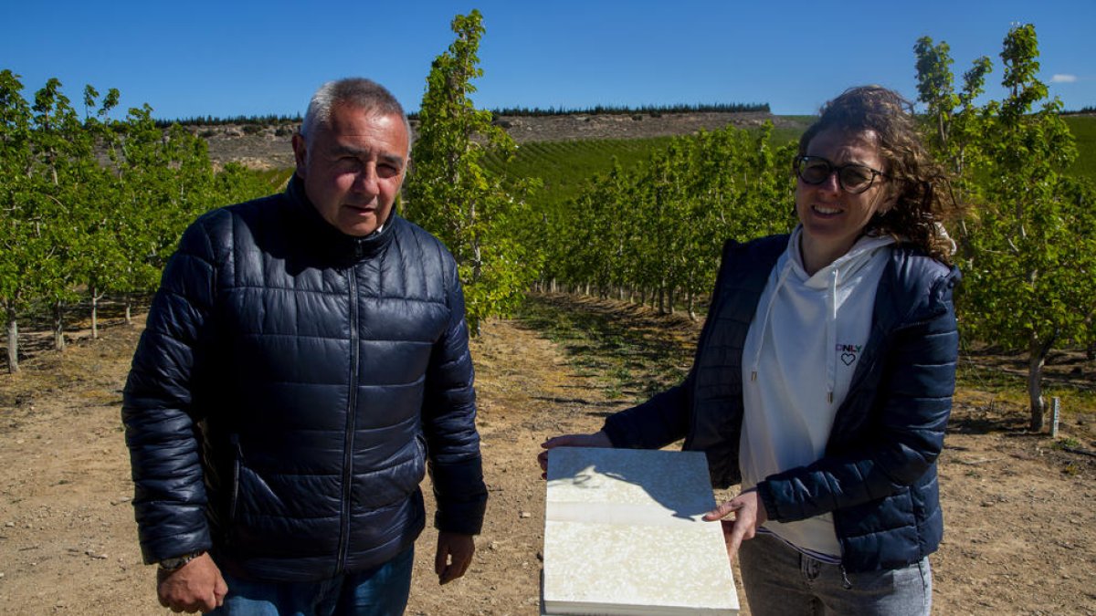 Roqué i Porta mostren les marques que la pedra deixa als granímetres en una finca de Sarroca.
