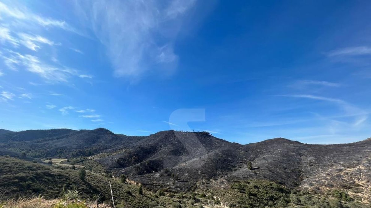 L'alcalde de la Granja d'Escarp assenyala un transformador elèctric com a causa del foc