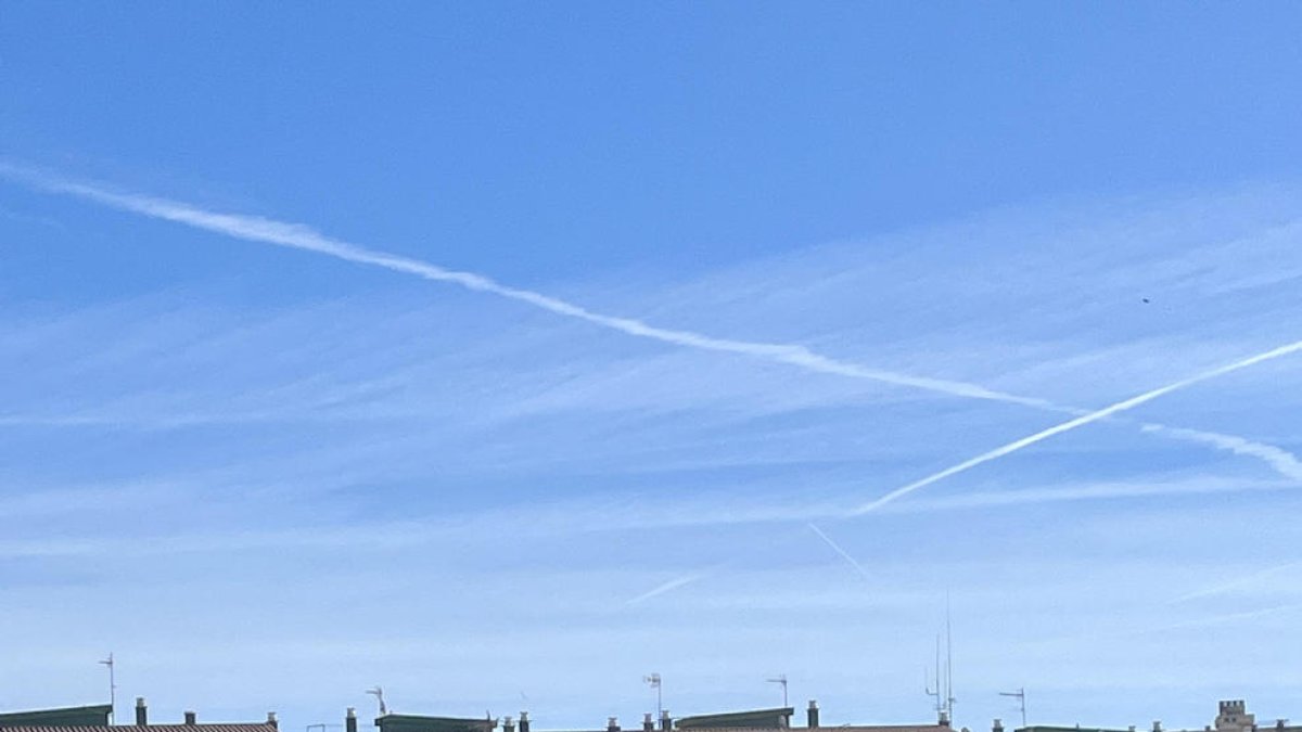 L'atleta Alba Capell, campiona de Catalunya sub-10 de relleus