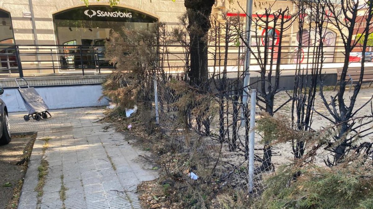 Tanques cremades a la plaça del número 64 de passeig de Ronda.