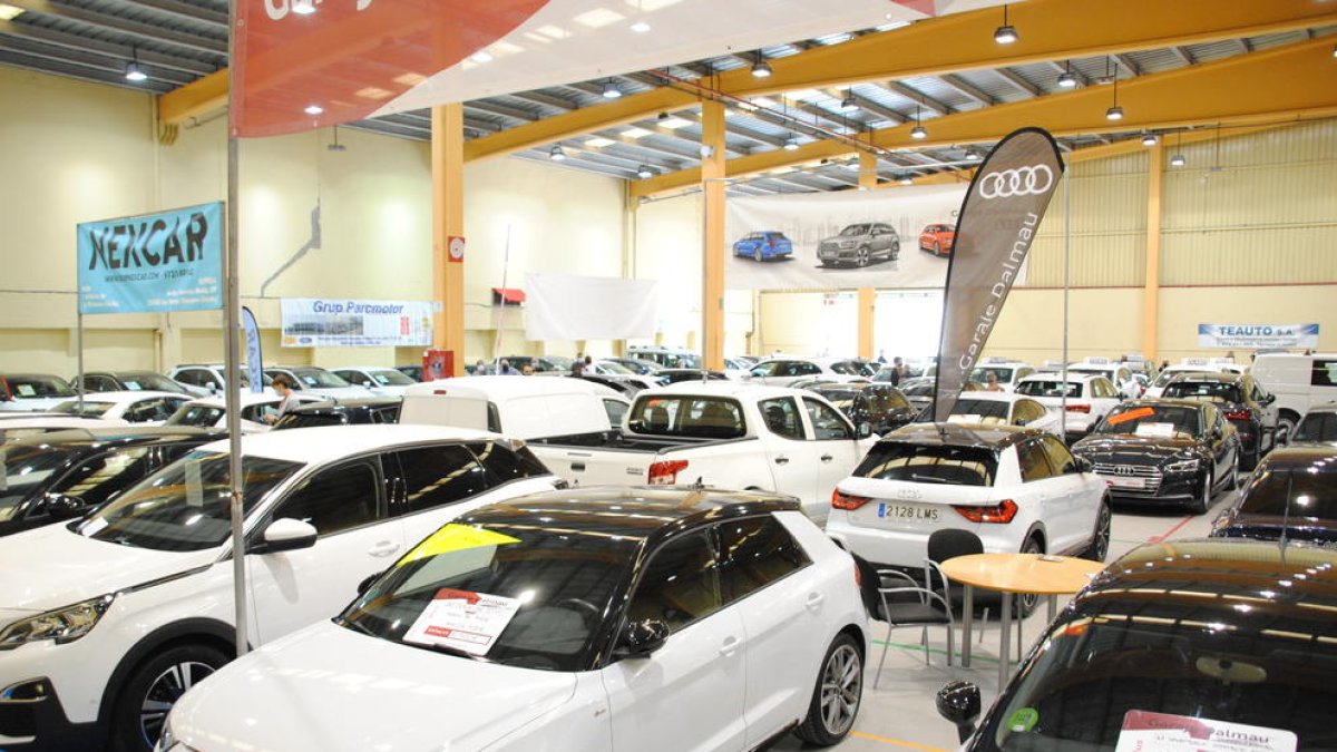 El pavelló firal acollirà aquest certamen.